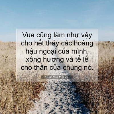 Picture 07 - 1 Các Vua 11:8 VIE - Vua cũng làm như vậy cho hết thảy các - Bible Verse Picture