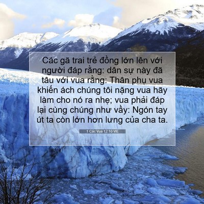 Picture 07 - 1 Các Vua 12:10 VIE - Các gã trai trẻ đồng lớn lên với - Bible Verse Picture