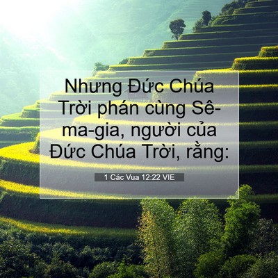 Picture 07 - 1 Các Vua 12:22 VIE - Nhưng Đức Chúa Trời phán cùng - Bible Verse Picture
