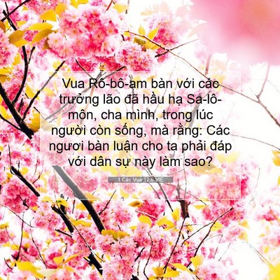 Picture 07 - 1 Các Vua 12:6 VIE - Vua Rô-bô-am bàn với các trưởng lão - Bible Verse Picture
