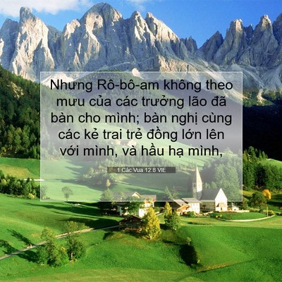 Picture 07 - 1 Các Vua 12:8 VIE - Nhưng Rô-bô-am không theo mưu của các - Bible Verse Picture