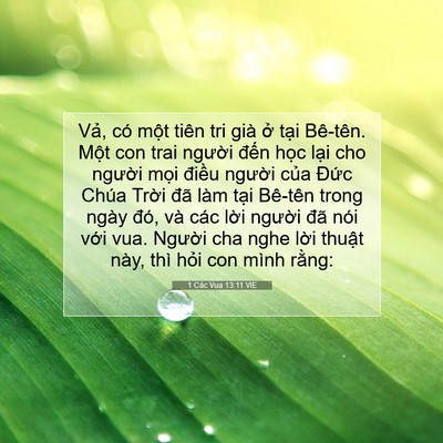 Picture 07 - 1 Các Vua 13:11 VIE - Vả, có một tiên tri già ở tại - Bible Verse Picture
