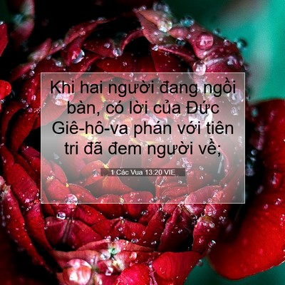 Picture 07 - 1 Các Vua 13:20 VIE - Khi hai người đang ngồi bàn, có lời - Bible Verse Picture