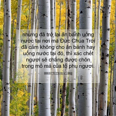 Picture 07 - 1 Các Vua 13:22 VIE - nhưng đã trở lại ăn bánh uống nước - Bible Verse Picture