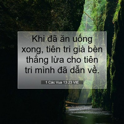 Picture 07 - 1 Các Vua 13:23 VIE - Khi đã ăn uống xong, tiên tri già bèn - Bible Verse Picture