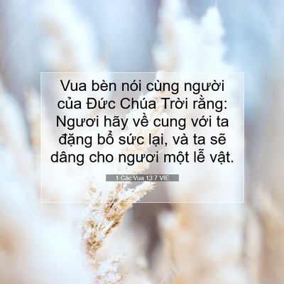 Picture 07 - 1 Các Vua 13:7 VIE - Vua bèn nói cùng người của Đức Chúa - Bible Verse Picture