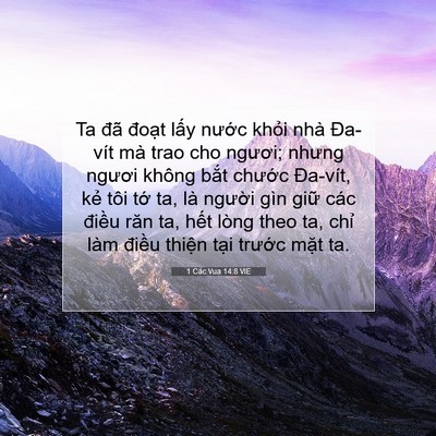 Picture 07 - 1 Các Vua 14:8 VIE - Ta đã đoạt lấy nước khỏi nhà - Bible Verse Picture