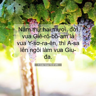 Picture 07 - 1 Các Vua 15:9 VIE - Năm thứ hai mươi, đời vua Giê-rô-bô-am - Bible Verse Picture