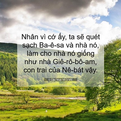 Picture 07 - 1 Các Vua 16:3 VIE - Nhân vì cớ ấy, ta sẽ quét sạch - Bible Verse Picture