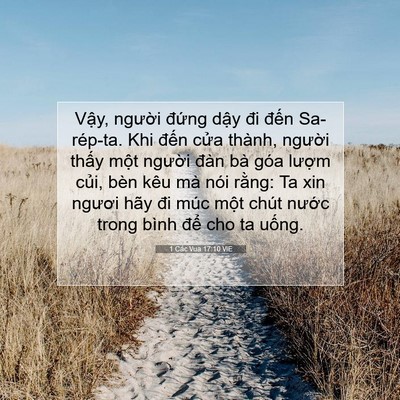 Picture 07 - 1 Các Vua 17:10 VIE - Vậy, người đứng dậy đi đến - Bible Verse Picture