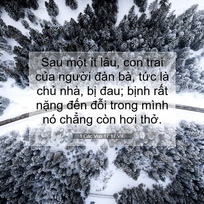 Picture 07 - 1 Các Vua 17:17 VIE - Sau một ít lâu, con trai của người đàn - Bible Verse Picture