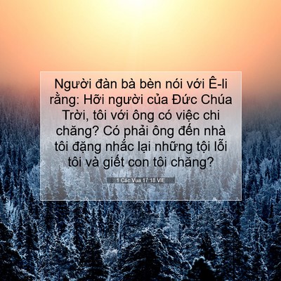 Picture 07 - 1 Các Vua 17:18 VIE - Người đàn bà bèn nói với Ê-li rằng: - Bible Verse Picture