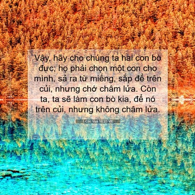 Picture 07 - 1 Các Vua 18:23 VIE - Vậy, hãy cho chúng ta hai con bò đực; - Bible Verse Picture