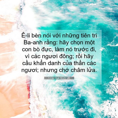 Picture 07 - 1 Các Vua 18:25 VIE - Ê-li bèn nói với những tiên tri Ba-anh - Bible Verse Picture