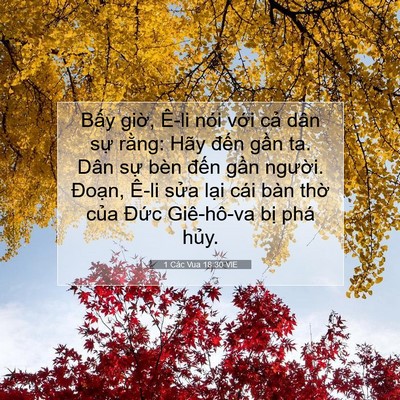 Picture 07 - 1 Các Vua 18:30 VIE - Bấy giờ, Ê-li nói với cả dân sự - Bible Verse Picture