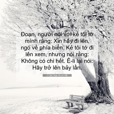 Picture 07 - 1 Các Vua 18:43 VIE - Đoạn, người nói với kẻ tôi tớ mình - Bible Verse Picture
