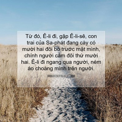 Picture 07 - 1 Các Vua 19:19 VIE - Từ đó, Ê-li đi, gặp Ê-li-sê, con trai - Bible Verse Picture