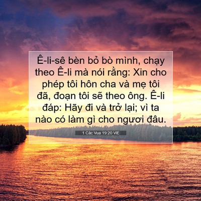 Picture 07 - 1 Các Vua 19:20 VIE - Ê-li-sê bèn bỏ bò mình, chạy theo Ê-li - Bible Verse Picture