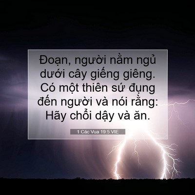 Picture 07 - 1 Các Vua 19:5 VIE - Đoạn, người nằm ngủ dưới cây - Bible Verse Picture