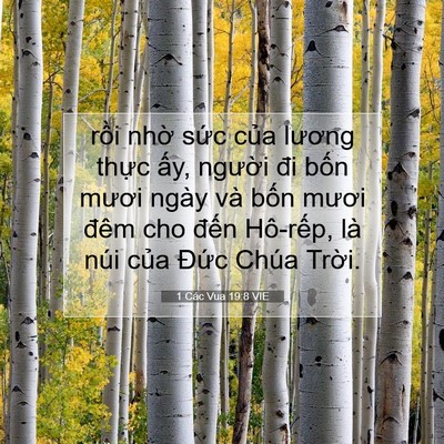 Picture 07 - 1 Các Vua 19:8 VIE - rồi nhờ sức của lương thực ấy, - Bible Verse Picture