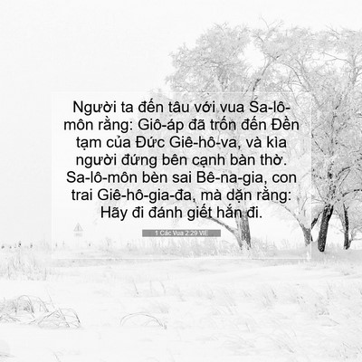 Picture 07 - 1 Các Vua 2:29 VIE - Người ta đến tâu với vua Sa-lô-môn - Bible Verse Picture
