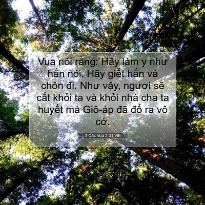 Picture 07 - 1 Các Vua 2:31 VIE - Vua nói rằng: Hãy làm y như hắn nói. - Bible Verse Picture