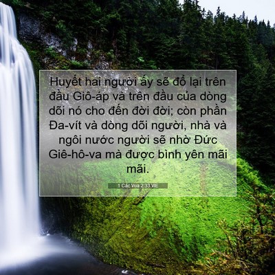 Picture 07 - 1 Các Vua 2:33 VIE - Huyết hai người ấy sẽ đổ lại trên - Bible Verse Picture