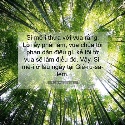 Picture 07 - 1 Các Vua 2:38 VIE - Si-mê-i thưa với vua rằng: Lời ấy - Bible Verse Picture
