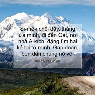 Picture 07 - 1 Các Vua 2:40 VIE - Si-mê-i chổi dậy, thắng lừa mình, đi - Bible Verse Picture