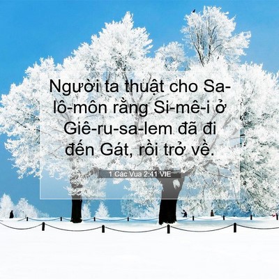 Picture 07 - 1 Các Vua 2:41 VIE - Người ta thuật cho Sa-lô-môn rằng - Bible Verse Picture