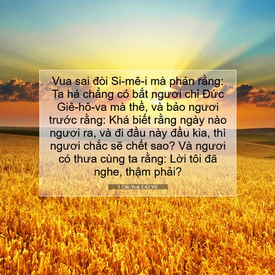 Picture 07 - 1 Các Vua 2:42 VIE - Vua sai đòi Si-mê-i mà phán rằng: Ta há - Bible Verse Picture