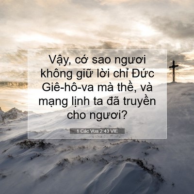 Picture 07 - 1 Các Vua 2:43 VIE - Vậy, cớ sao ngươi không giữ lời chỉ - Bible Verse Picture