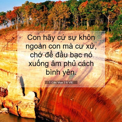 Picture 07 - 1 Các Vua 2:6 VIE - Con hãy cứ sự khôn ngoan con mà cư xử, - Bible Verse Picture