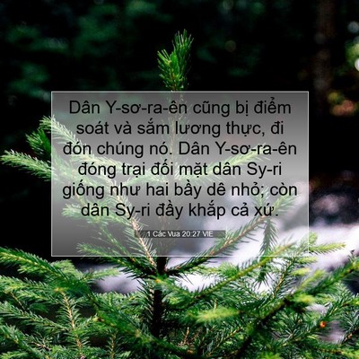 Picture 07 - 1 Các Vua 20:27 VIE - Dân Y-sơ-ra-ên cũng bị điểm soát và - Bible Verse Picture