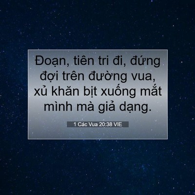 Picture 07 - 1 Các Vua 20:38 VIE - Đoạn, tiên tri đi, đứng đợi trên - Bible Verse Picture