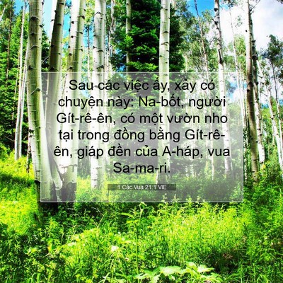 Picture 07 - 1 Các Vua 21:1 VIE - Sau các việc ấy, xảy có chuyện này: - Bible Verse Picture