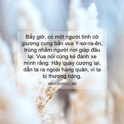 Picture 07 - 1 Các Vua 22:34 VIE - Bấy giờ, có một người tình cờ - Bible Verse Picture