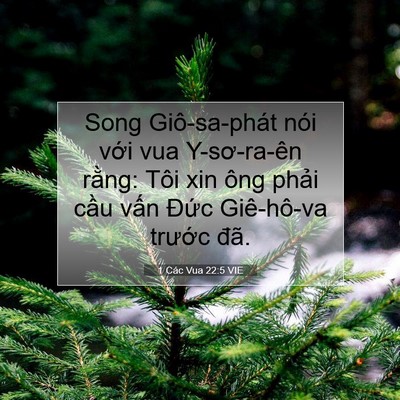 Picture 07 - 1 Các Vua 22:5 VIE - Song Giô-sa-phát nói với vua Y-sơ-ra-ên - Bible Verse Picture