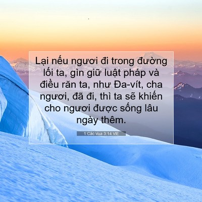 Picture 07 - 1 Các Vua 3:14 VIE - Lại nếu ngươi đi trong đường lối ta, - Bible Verse Picture