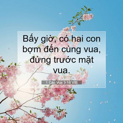Picture 07 - 1 Các Vua 3:16 VIE - Bấy giờ, có hai con bợm đến cùng vua, - Bible Verse Picture