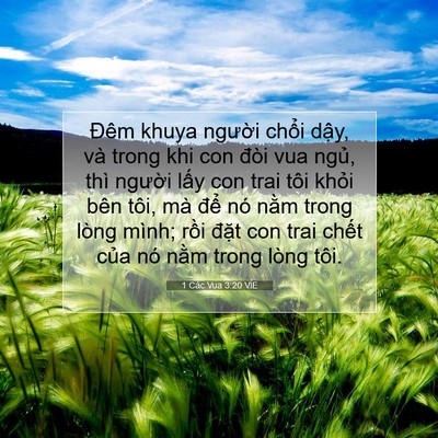 Picture 07 - 1 Các Vua 3:20 VIE - Đêm khuya người chổi dậy, và trong khi - Bible Verse Picture