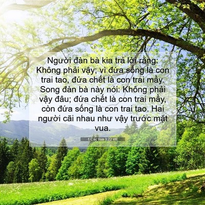Picture 07 - 1 Các Vua 3:22 VIE - Người đàn bà kia trả lời rằng: Không - Bible Verse Picture