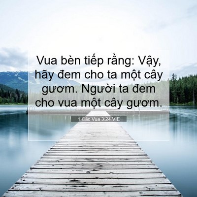 Picture 07 - 1 Các Vua 3:24 VIE - Vua bèn tiếp rằng: Vậy, hãy đem cho ta - Bible Verse Picture