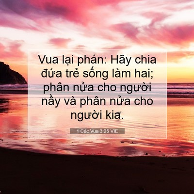 Picture 07 - 1 Các Vua 3:25 VIE - Vua lại phán: Hãy chia đứa trẻ sống - Bible Verse Picture