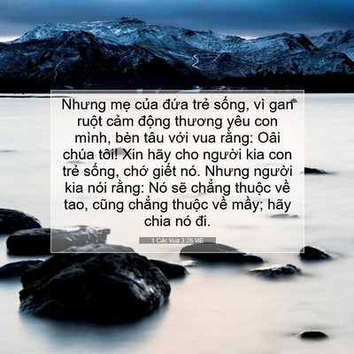 Picture 07 - 1 Các Vua 3:26 VIE - Nhưng mẹ của đứa trẻ sống, vì gan - Bible Verse Picture