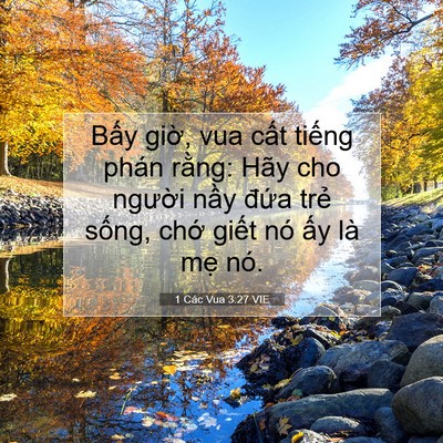 Picture 07 - 1 Các Vua 3:27 VIE - Bấy giờ, vua cất tiếng phán rằng: Hãy - Bible Verse Picture
