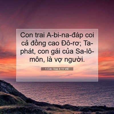 Picture 07 - 1 Các Vua 4:11 VIE - Con trai A-bi-na-đáp coi cả đồng cao - Bible Verse Picture