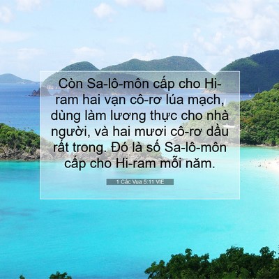 Picture 07 - 1 Các Vua 5:11 VIE - Còn Sa-lô-môn cấp cho Hi-ram hai vạn - Bible Verse Picture