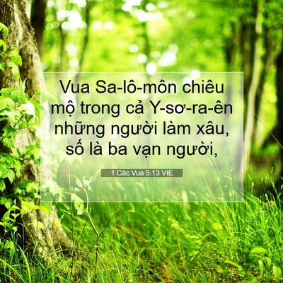 Picture 07 - 1 Các Vua 5:13 VIE - Vua Sa-lô-môn chiêu mộ trong cả - Bible Verse Picture