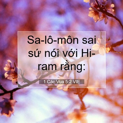 Picture 07 - 1 Các Vua 5:2 VIE - Sa-lô-môn sai sứ nói với Hi-ram - Bible Verse Picture